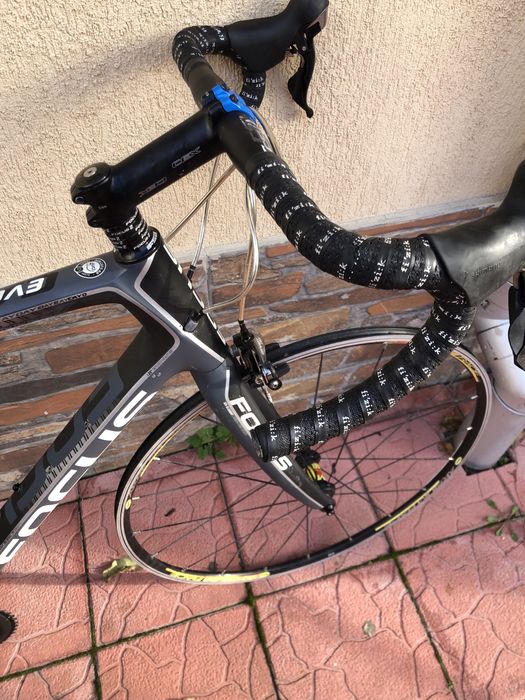 Semicursiera carbon Focus