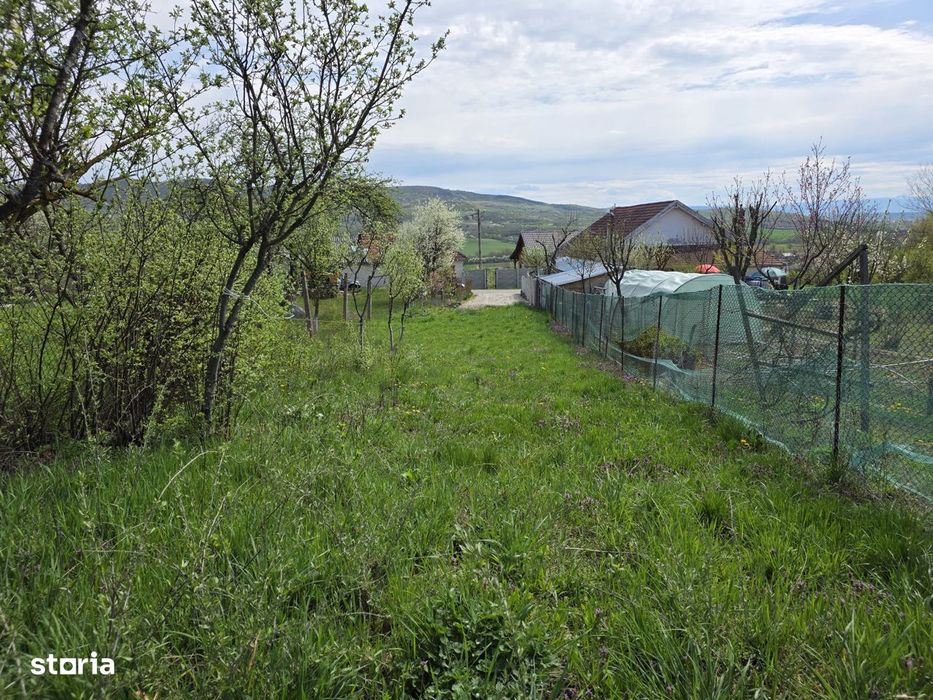 De vânzare teren intravilan – Bârsău, jud. Hunedoara