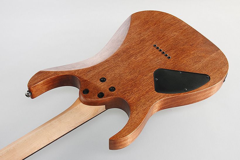 Электрогитара Ibanez RG421-MOL новая