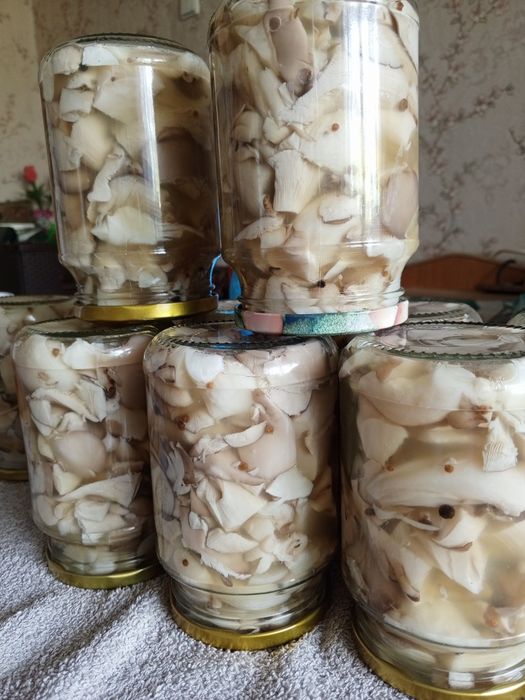 Шампиньоны, вешенки , грибы