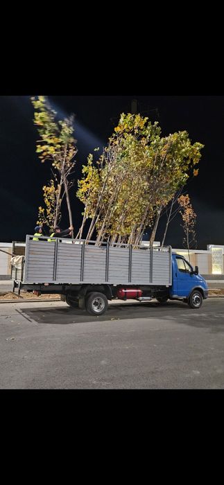 Gazel biznes yili 2011