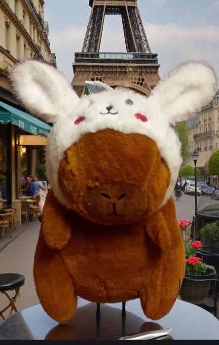 Kapibara kapyushonli