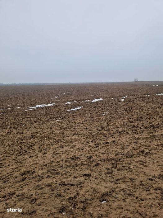 Teren de vanzare 2.500 mp – Malu Mare