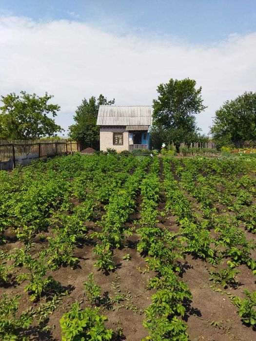 Продам дачу (район Кривоозёрки)