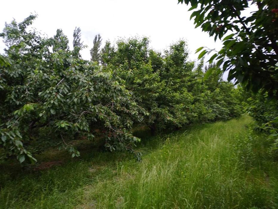 Дам олиш маскани биноси СОТИЛАДИ!!!