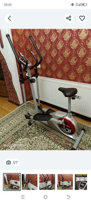 Trenajor velik yangi