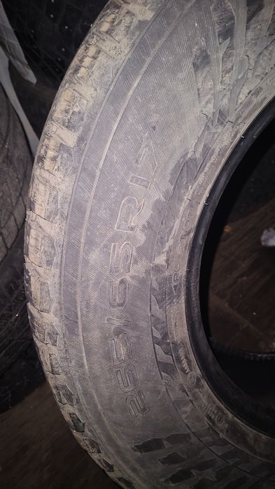 Шины нокиан германия