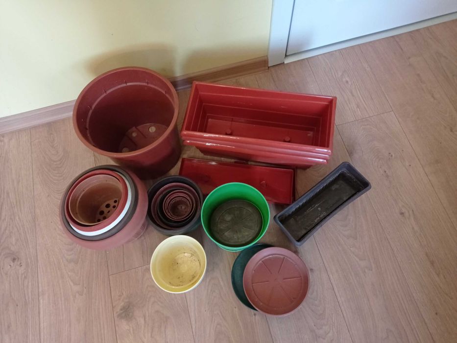 Саксии различни размери