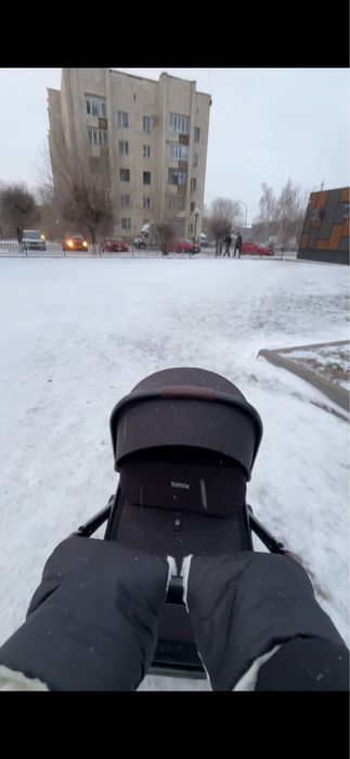 Коляска Tomix Selena 2в1