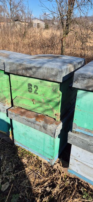 Lazi stupi 12 rame cu grosime 2,5cm