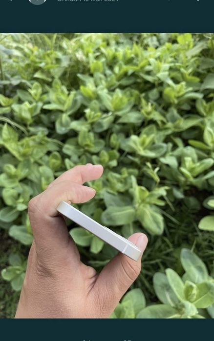 Iphone 12 mini Sotilqdi ideal