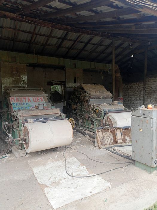 Tayyor biznes paxtasex