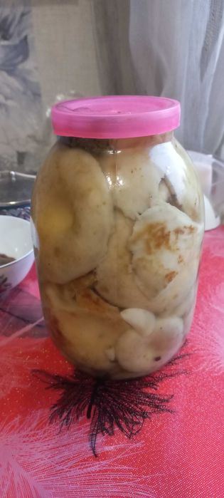 Солёные грузди. Готовые.