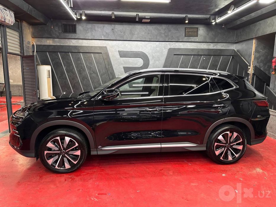 Byd chempion 2024 tozza