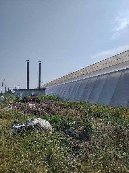 "Issiqxona" (zamonaviy tipdagi)