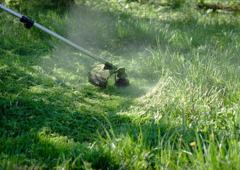Покос травы и вырубка не больших деревьев кустарников