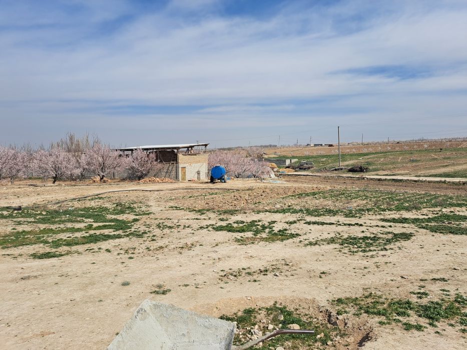 Yer uchastkasi turar joy uchun pasdagi lokatsiya taxminiy