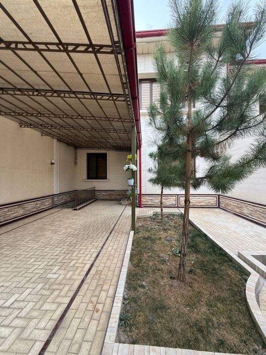 Евро ховли ( мулжал Согдиана янги йул)