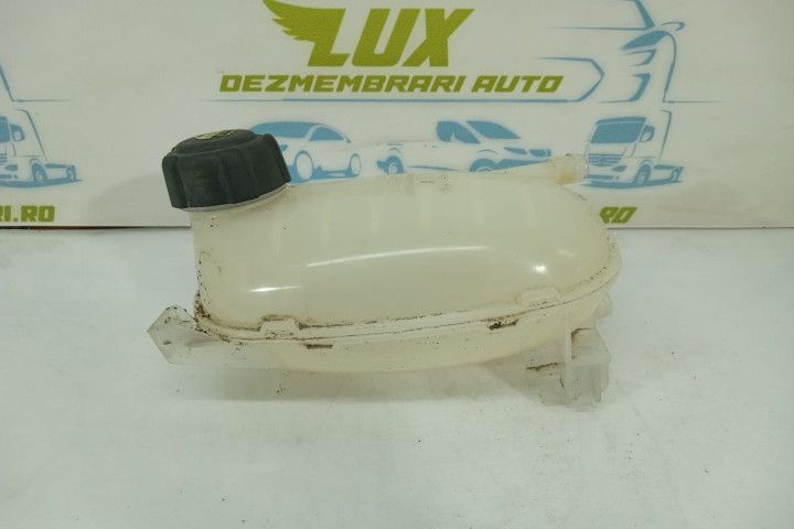 Vas antigel 217102572r Renault Captur 2 (2019 - 2020)