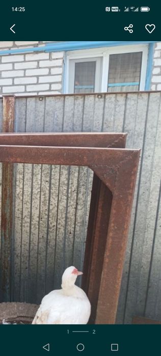 Продам топливный бак хово.
