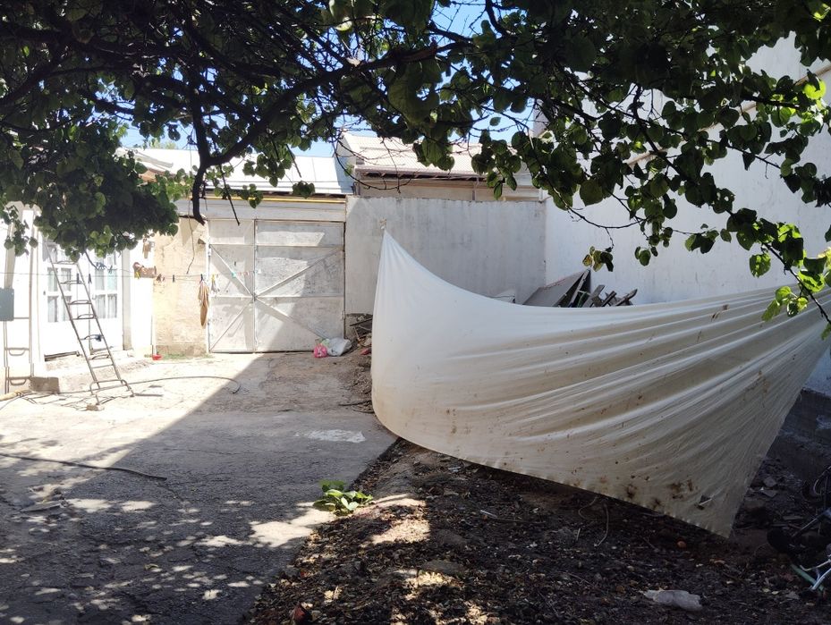 Uchtepa tumani Beshqayragoch mahallasi kota koʻchadan 50 metr kirganda