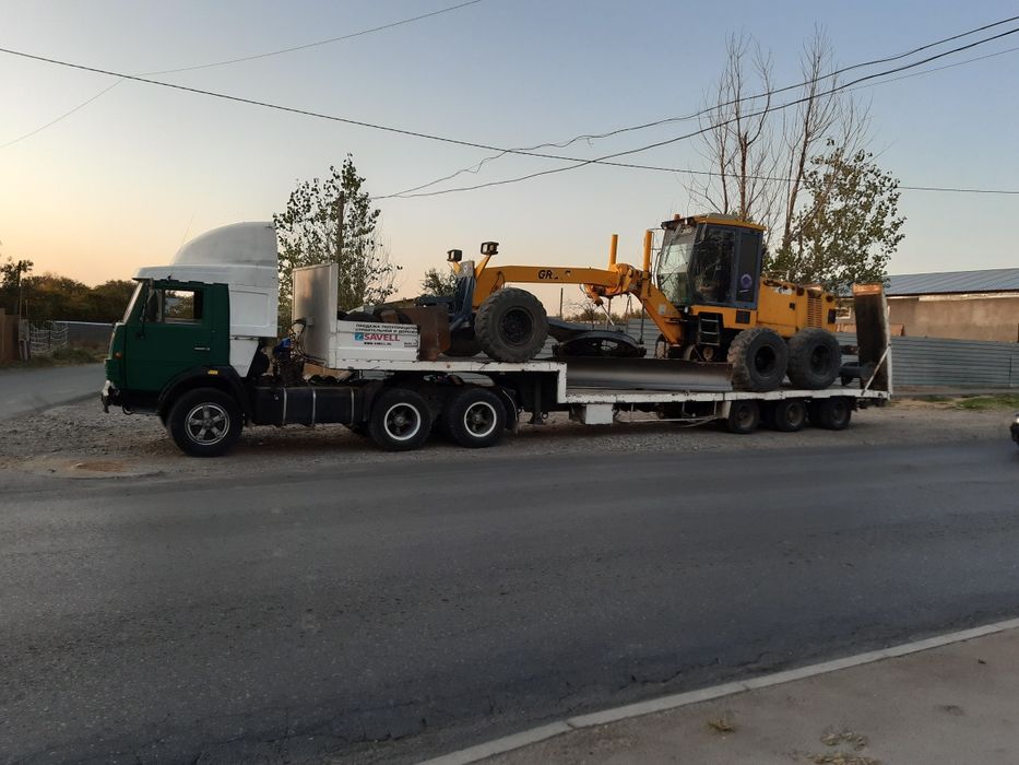 Услуга трал цена дог