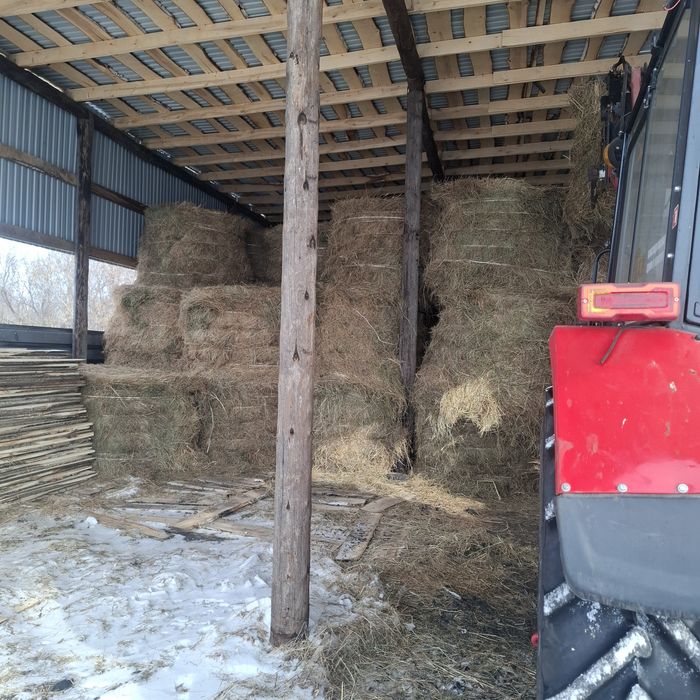 Продам сено в рулонах