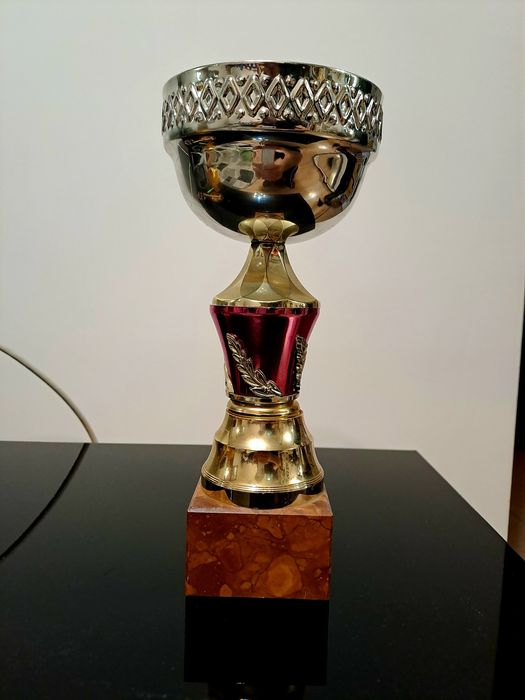 Vand cupa deosebita castigata la un concurs în Bucuresti
