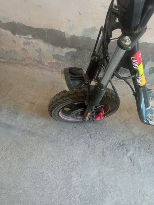 skutir drongo akum liyatir bita hechqanaqa chech qayerdan qarizi yoq
