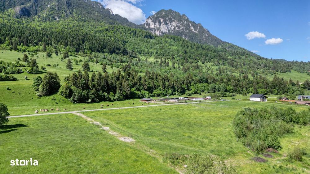 Teren intravilan In Zarnesti zona Plaiul Foii, asfalt si priveliste