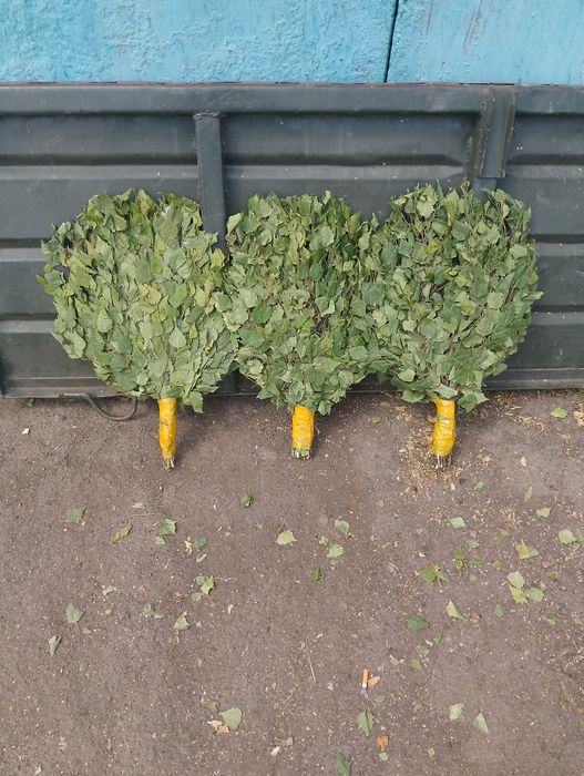 Веники березовые