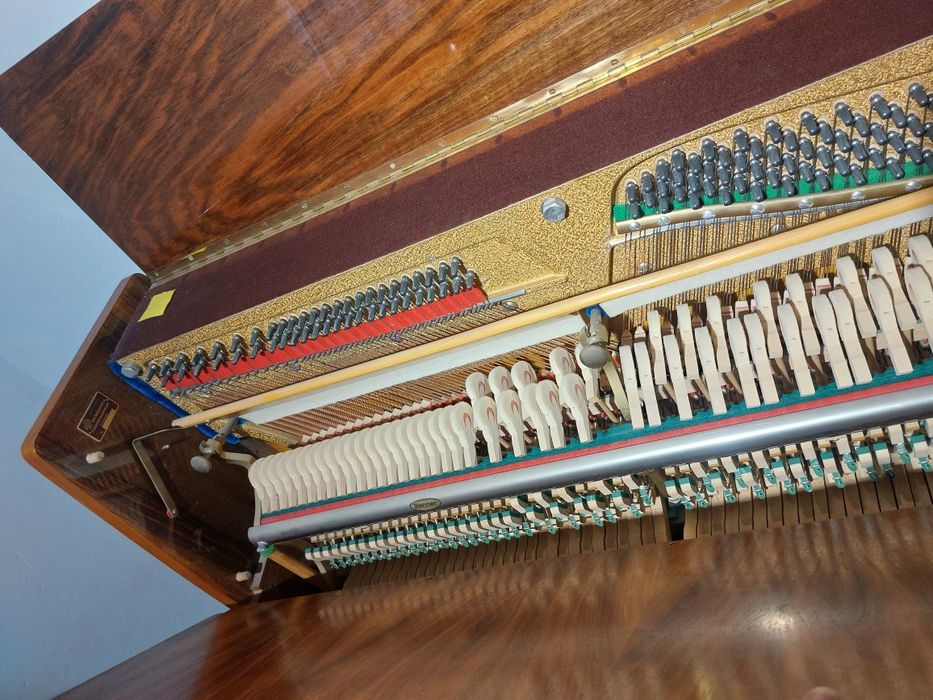 Pianina Nordiska [ transport gratuit, garanție)