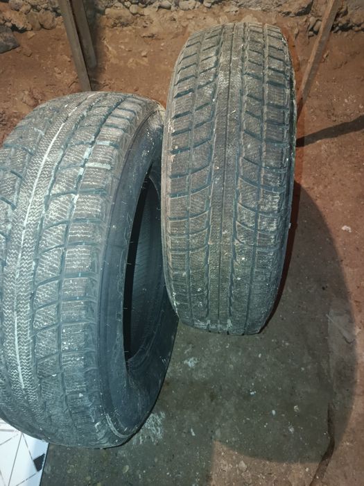 Шина баллондар екі штук