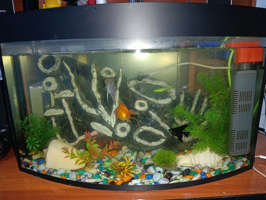 Аквариум сотилади