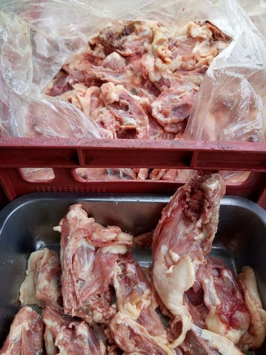 месо за кучета и котки