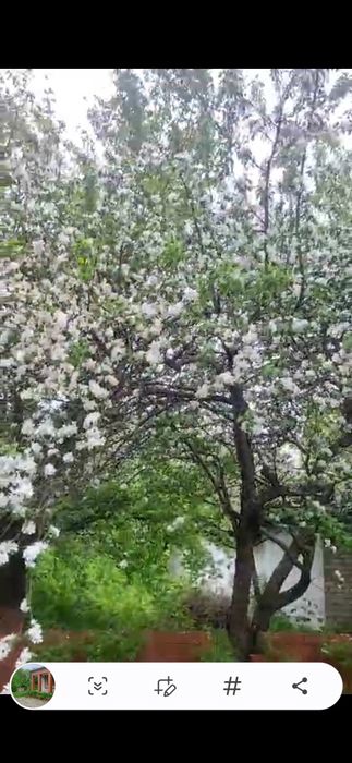 Сдаётся огород БЕСПЛАТНО