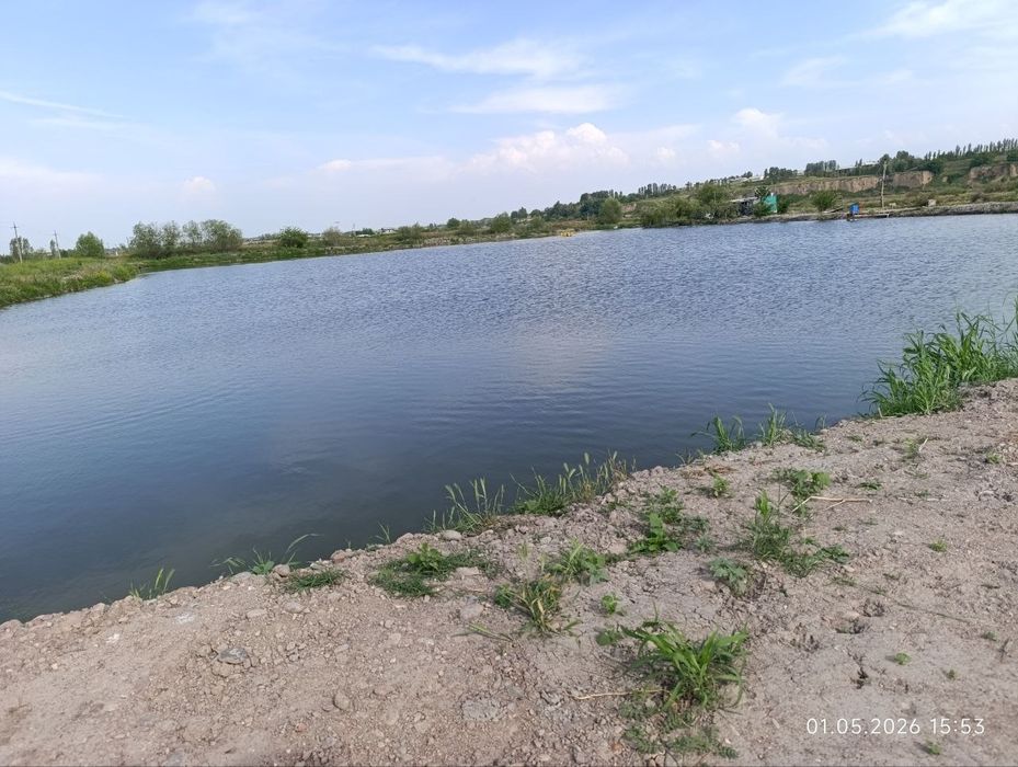 4 гектара вдоль реки на Ташморе