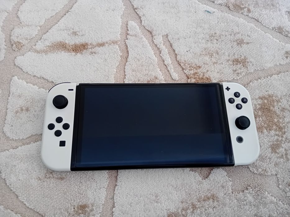 Nintendo switcholed