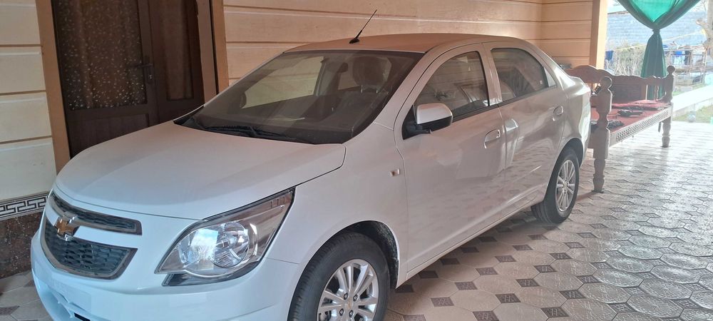 Kobalt pachka 2026 mcm