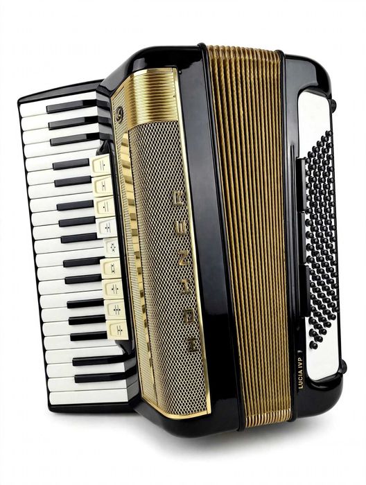 Acordeon Hohner Lucia 4 P  96 bași negru