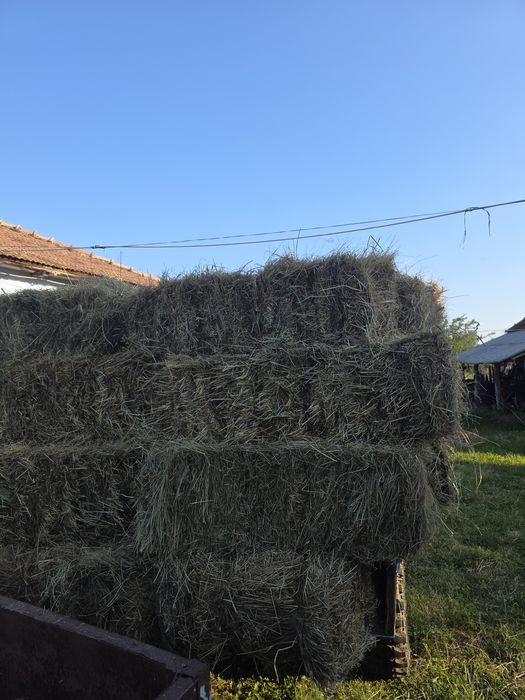 Baloți de fân ..