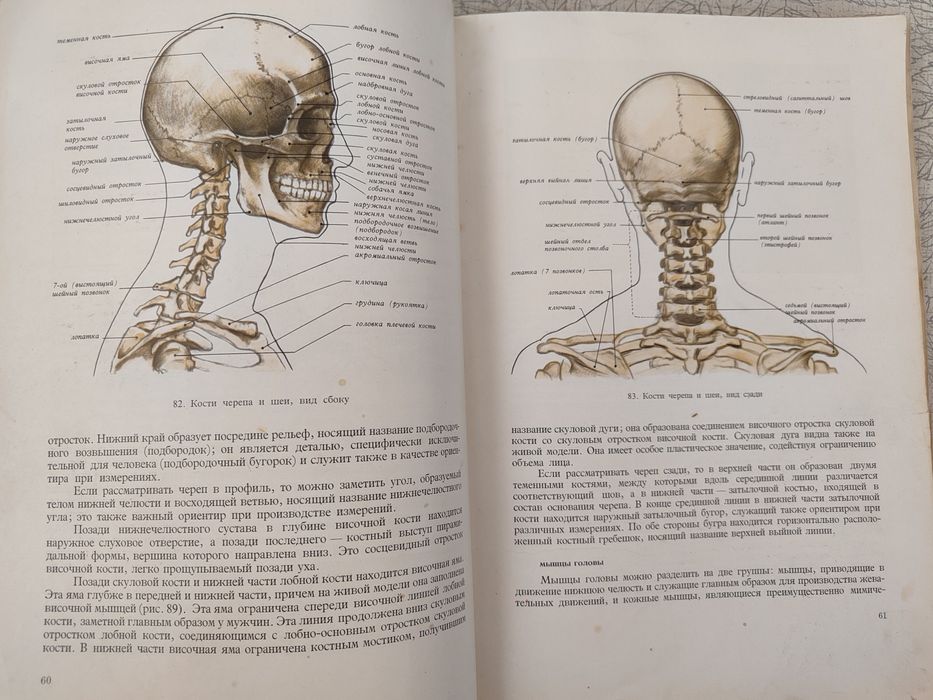 "Основы пластической анатомии", "Трактат по скульптуре" и др.