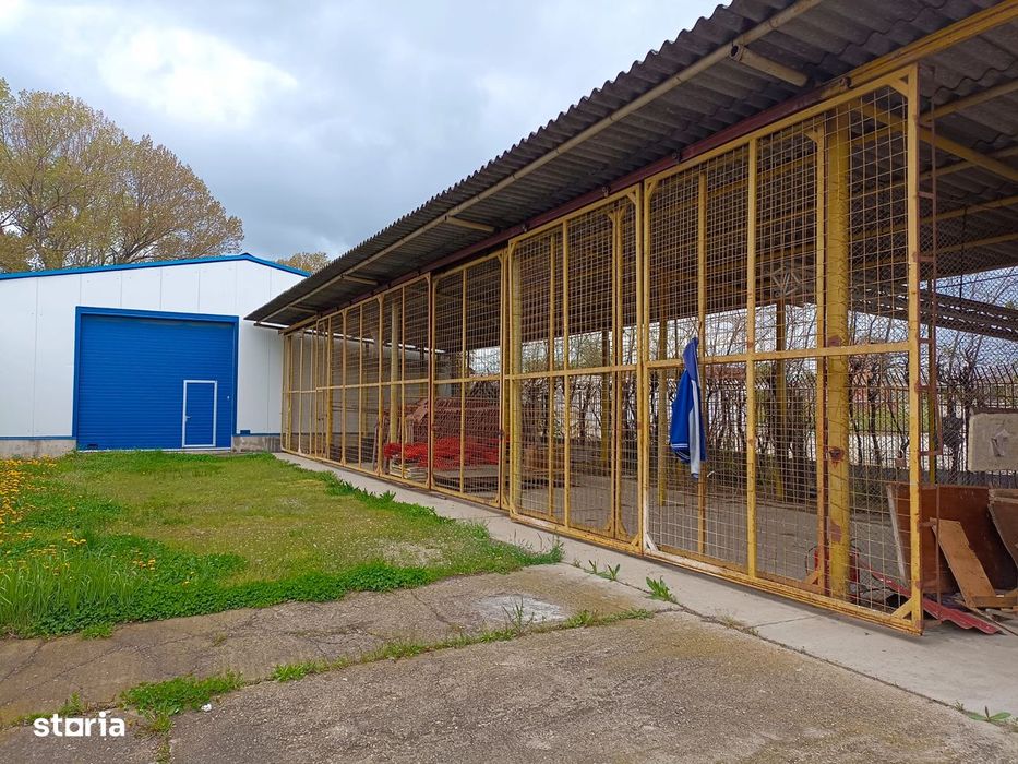 Teren 12000mp de inchiriat