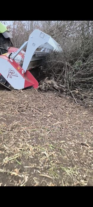 Curatare si defrisare terenuri, pasuni, livada