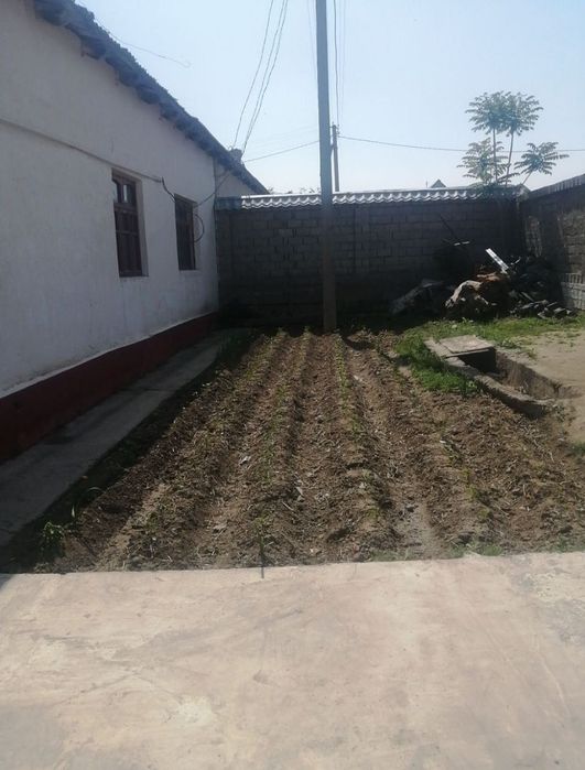 Uy sotiladi. Sirdaryo tumani Sholikor MFY Maktab yonida