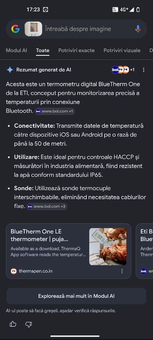 Termometru industrial