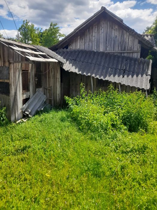 Casa Stâlpeni 1958 cu 940mp curte