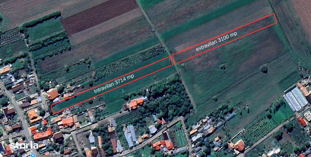 Teren intravilan + Extravilan - Tomsani (Magula) Prahova aproape de A3
