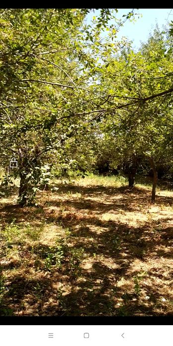 Кибрай тумани Ботаника м.ф.й да 2хона,6 сотик участка сотилади