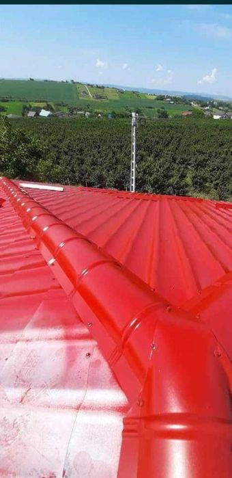 Meserias vopsitor utilitar pentrua acoperisuri, reparatii, confectionari